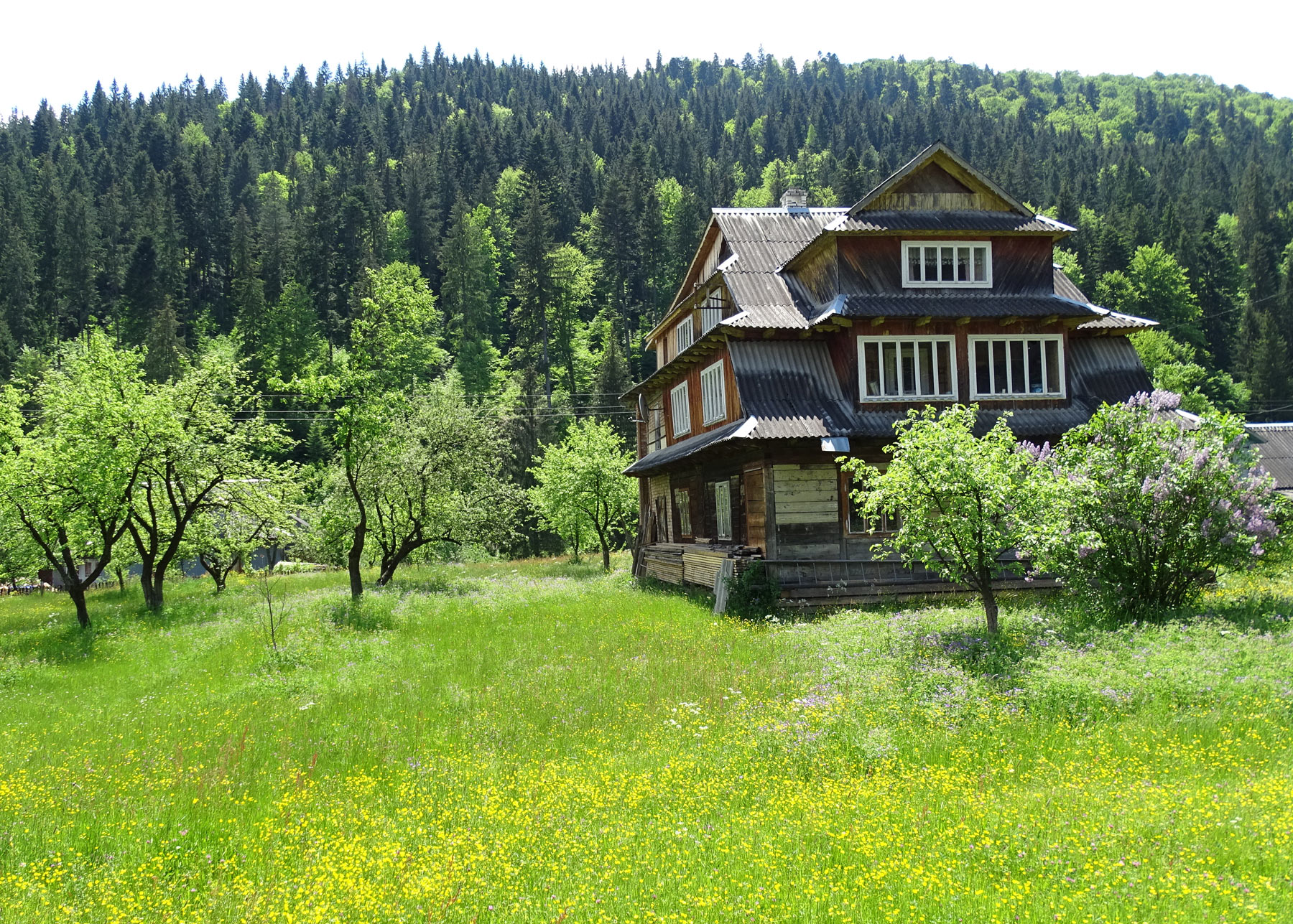 Tatariv (Татарів) (Photo license: CC BY 2.0)